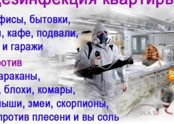 Дезинфекция квартир