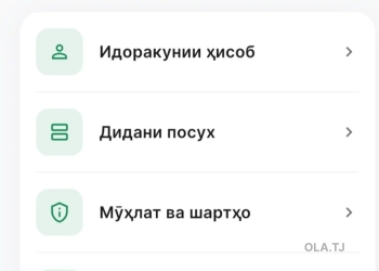 Разработка приложении и веб-сайтов