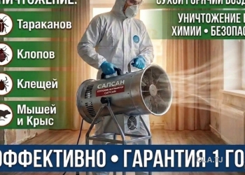 Услуги дезинсекции термообработка