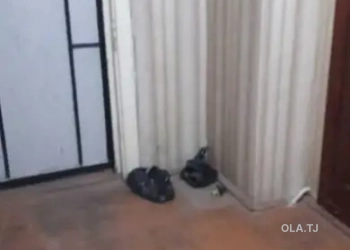 3 комнатная квартира, 2 этаж, 75 м²