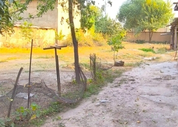 Дом (хавли), 1 комнат,