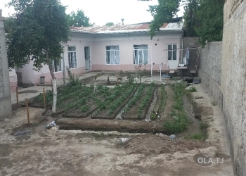 Дом (хавли), 3 комнат, 1 эт