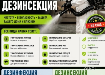 услуги дезинфекции