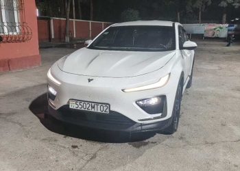 Neta X, 2024