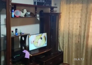 1 комнатная квартира, 1 этаж, 30 м²