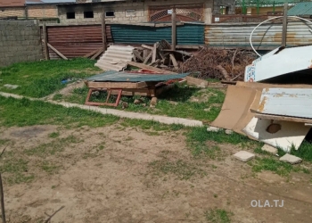 Дом (хавли), 2 комнат,