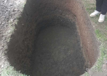 Устохои хавзсоз