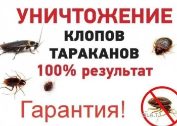 услуги дезинфекции