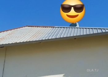 услуги маляра