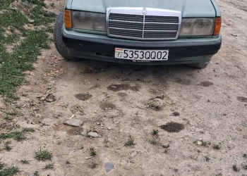 Mercedes-Benz W201,  1992