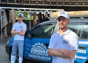 Услуги по стирке ковров