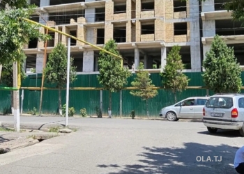 1 комнатная квартира, 1 этаж, 56 м²