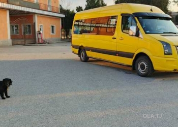 Volkswagen Crafter, 2007