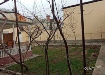 Дом (хавли), 7 комнат,