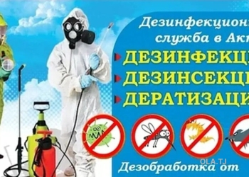 услуги дезинфекции