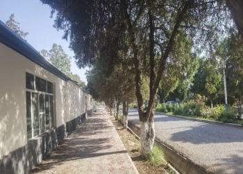 Офис в аренду, В бизнес-центре, 21 м²