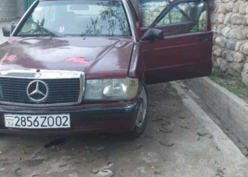 Mercedes-Benz W201,  1992
