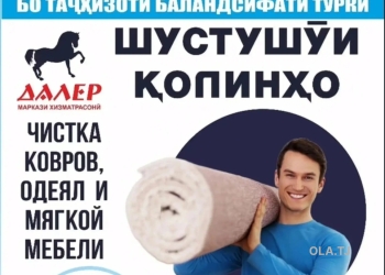 шустушуи колинхо