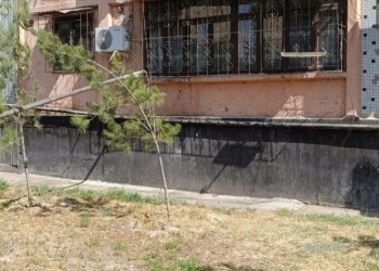 5 комнатная квартира, 1 этаж, 100 м²