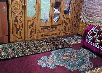 1 комнатная квартира, 1 этаж, 30 м²