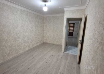 1 комнатная квартира, 1 этаж, 65 м²