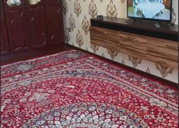 1 комнатная квартира, 1 этаж,