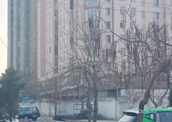 Помещение под магазин / салон, 54м², Коператор Донишгохи Тичорати.