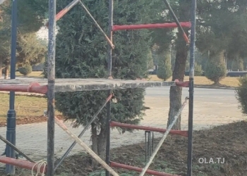 Строительные в аренду