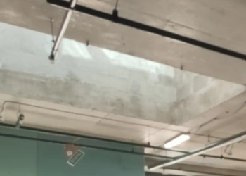 Помещение под магазин / салон, 250м², Зелёный базар