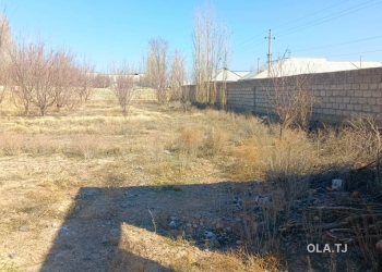 Дом (хавли), 1 комнат,