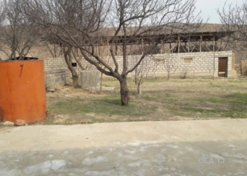 Дом (хавли), 4 комнат,