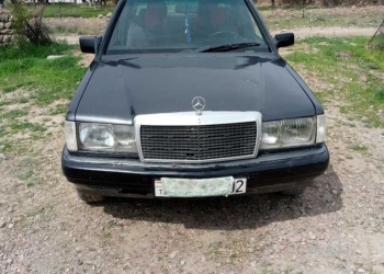 Mercedes-Benz W124,  1991