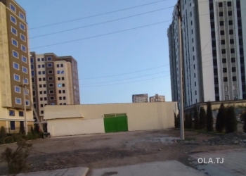 Профессиональный моющий пылесос Karcher в аренду