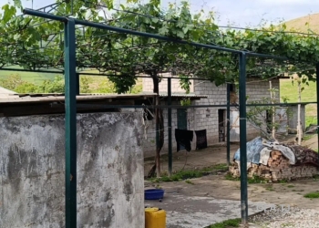 Дом (хавли), 3 комнат,