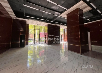 Помещение под свободное назначение, 250м²