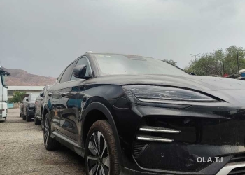 BYD Sea Lion 06,  2025