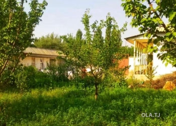 Дом (хавли), 7 комнат,